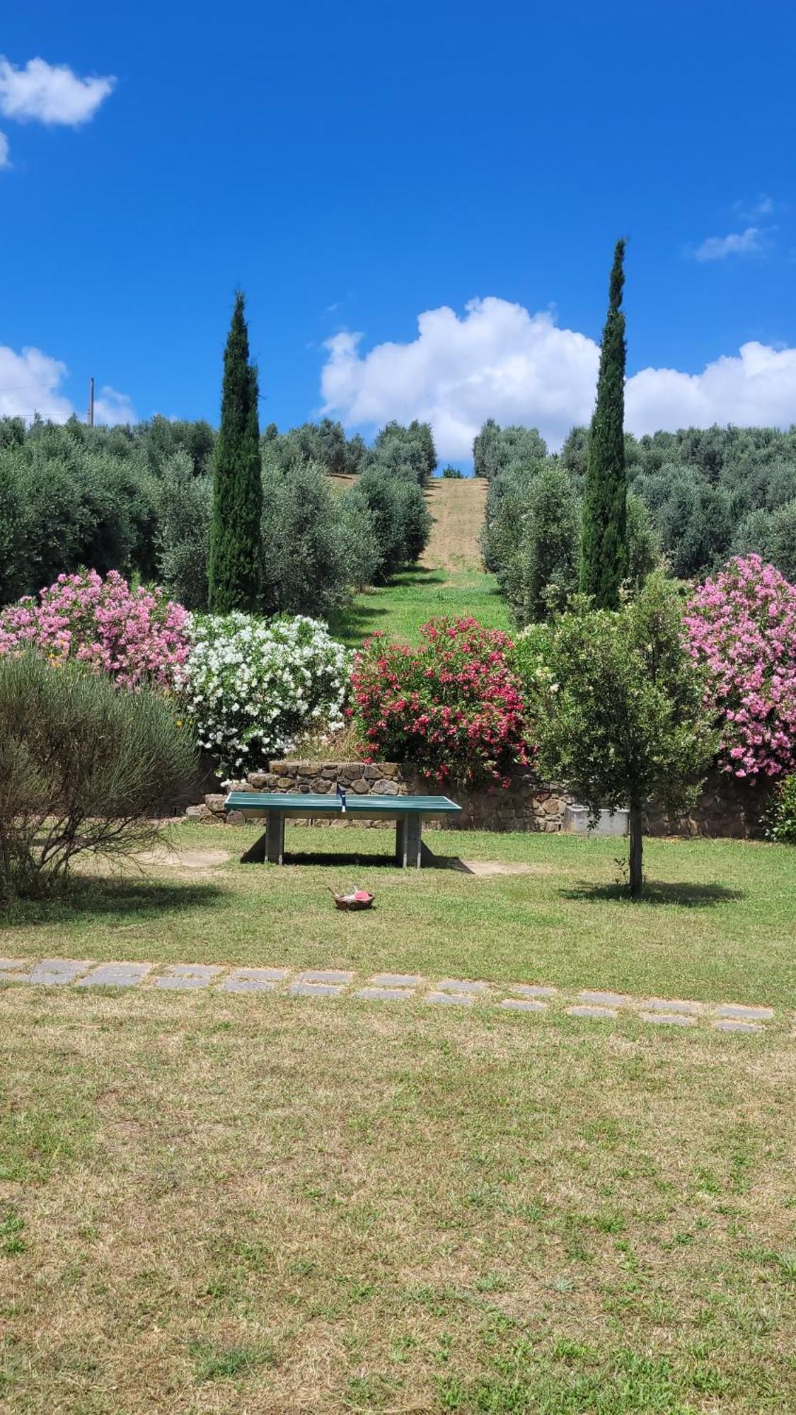 Agriturismo Podere Casalone Limite Екстериор снимка