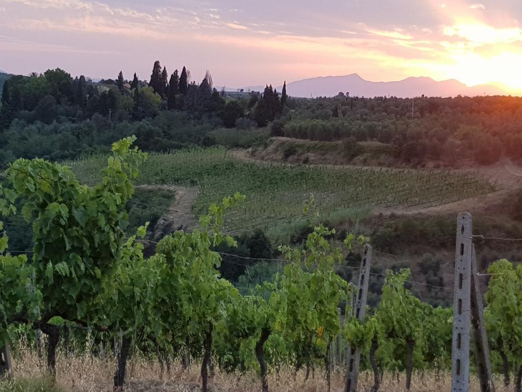 Agriturismo Podere Casalone Limite Екстериор снимка
